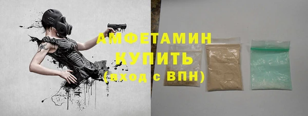 гидра Инсар