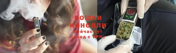 гидра Инсар