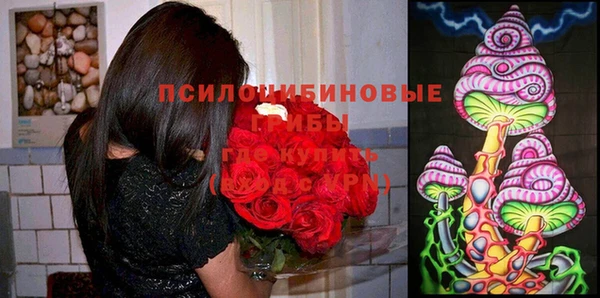 гидра Инсар