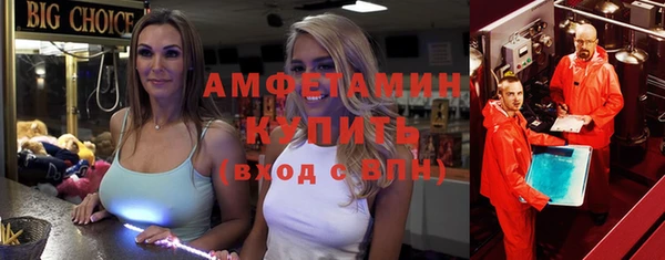 гидра Инсар