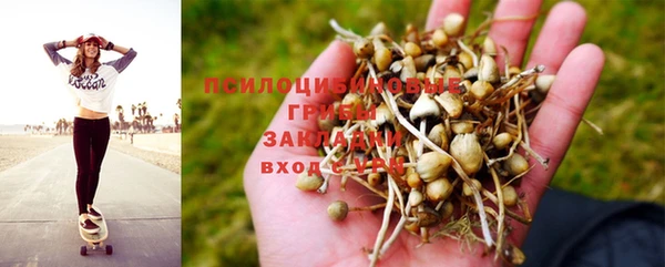 гидра Инсар