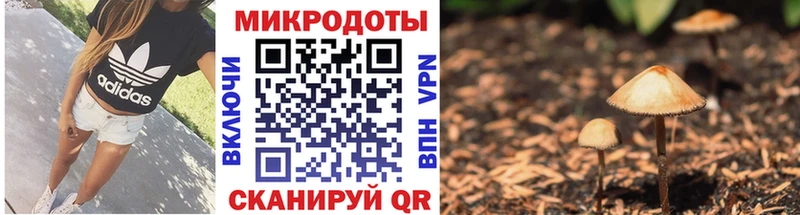 Купить закладки  Короча  Галлюциногенные грибы мухоморы 