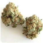 Шишки "White Widow"  (Белая вдова)  Гидропоника -  Бошка VHQ в Короче